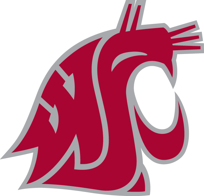 Washington State Cougars 1995-Pres Alternate Logo v5 diy fabric transfer...